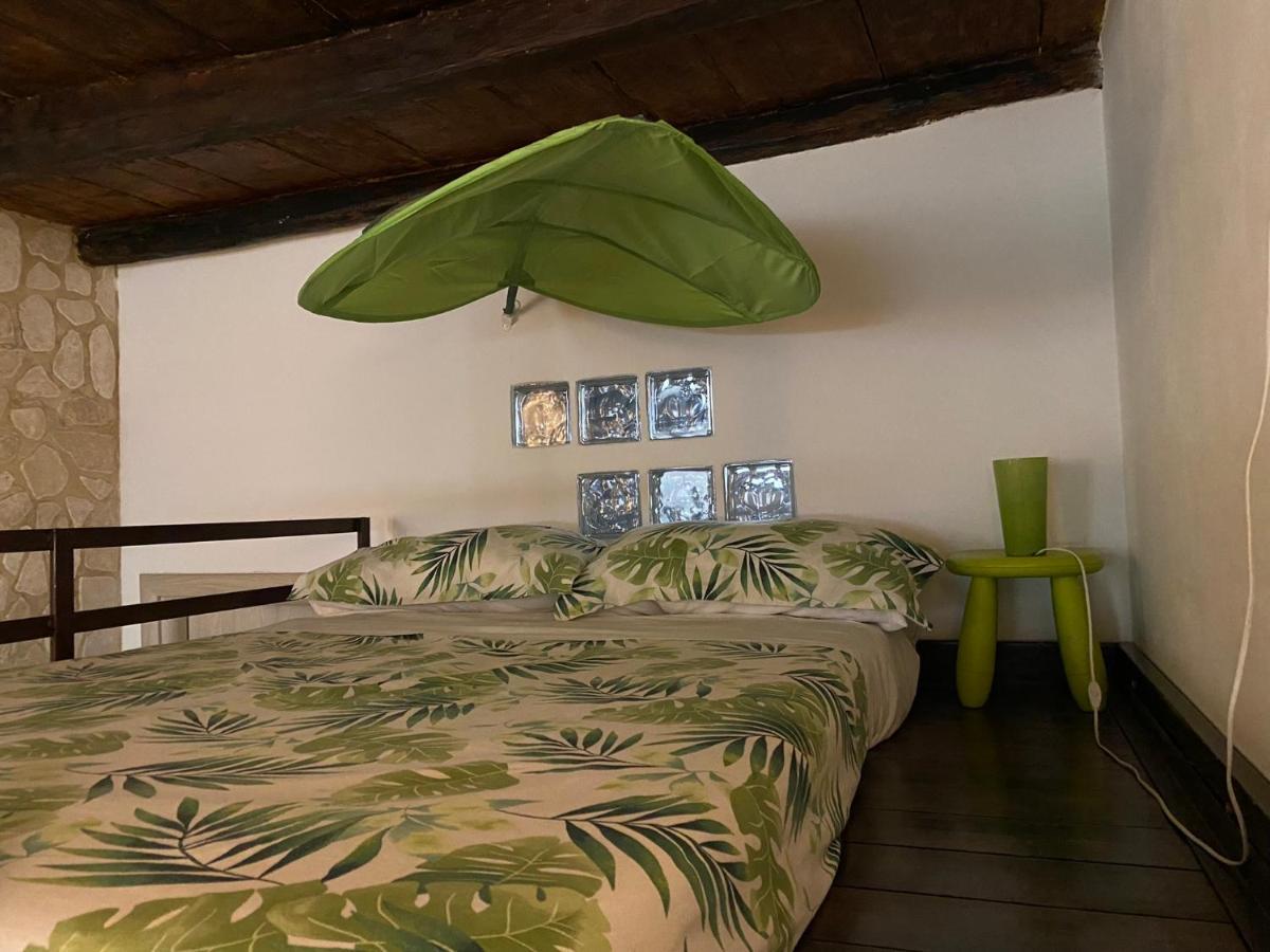 Cactus 31 Apartament Syracuse